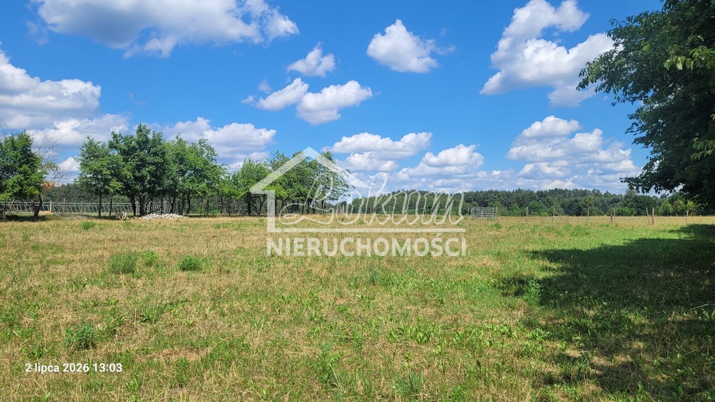 Działka gospodarstwo 7800&nbsp;m², Wiśniewo - zdjęcie 4