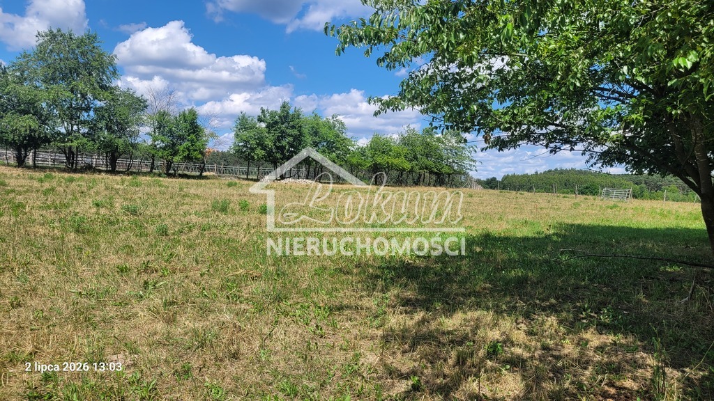 Działka gospodarstwo 7800&nbsp;m², Wiśniewo - zdjęcie 5