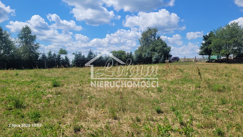 Działka gospodarstwo 7800&nbsp;m², Wiśniewo - zdjęcie 3