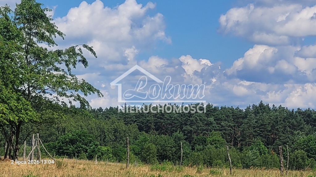 Działka gospodarstwo 7800&nbsp;m², Wiśniewo - zdjęcie 1