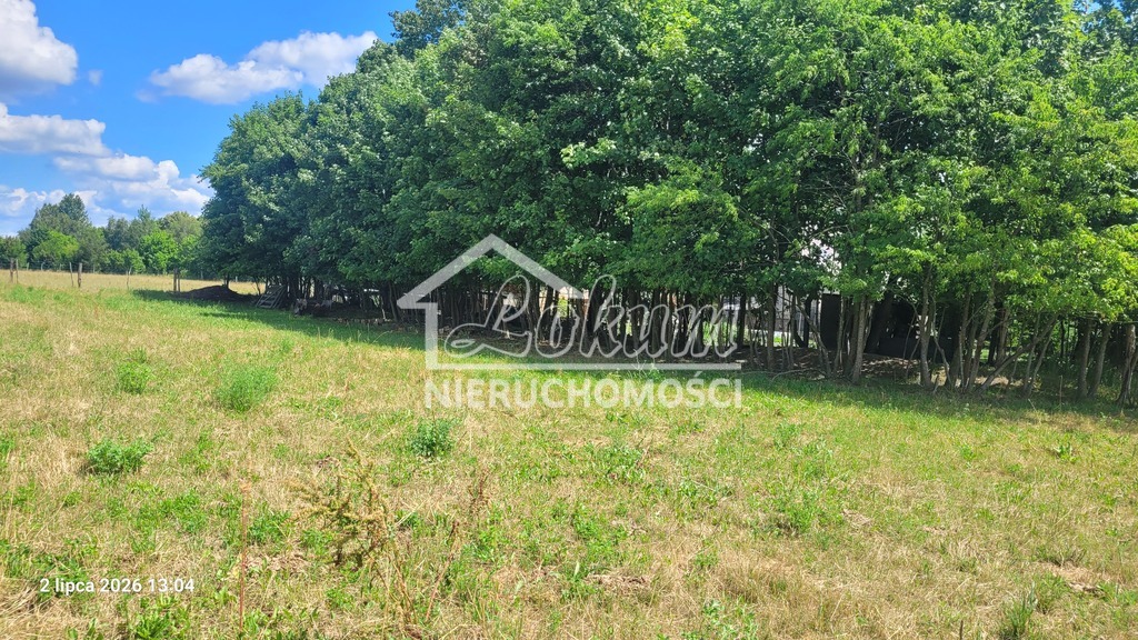 Działka gospodarstwo 7800&nbsp;m², Wiśniewo - zdjęcie 6