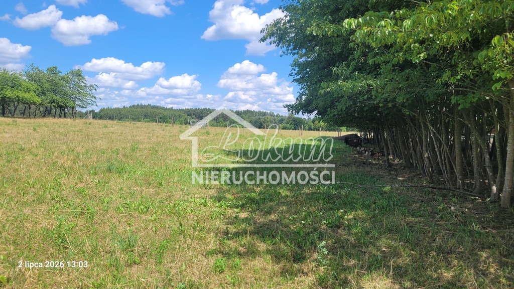 Działka gospodarstwo 7800&nbsp;m², Wiśniewo - zdjęcie 2