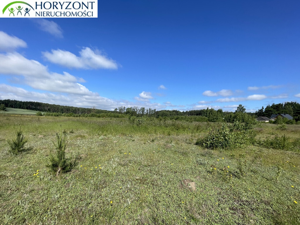 Działka budowlana 1166&nbsp;m², Bojano - zdjęcie 6
