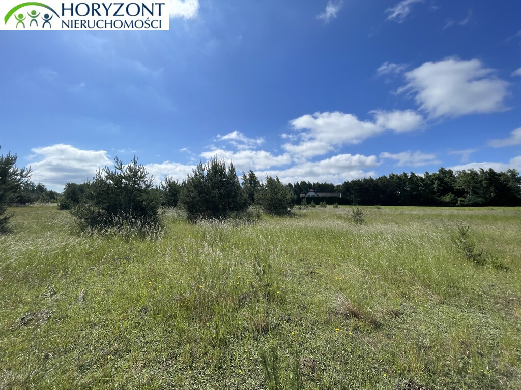 Działka budowlana 1166&nbsp;m², Bojano - zdjęcie 4