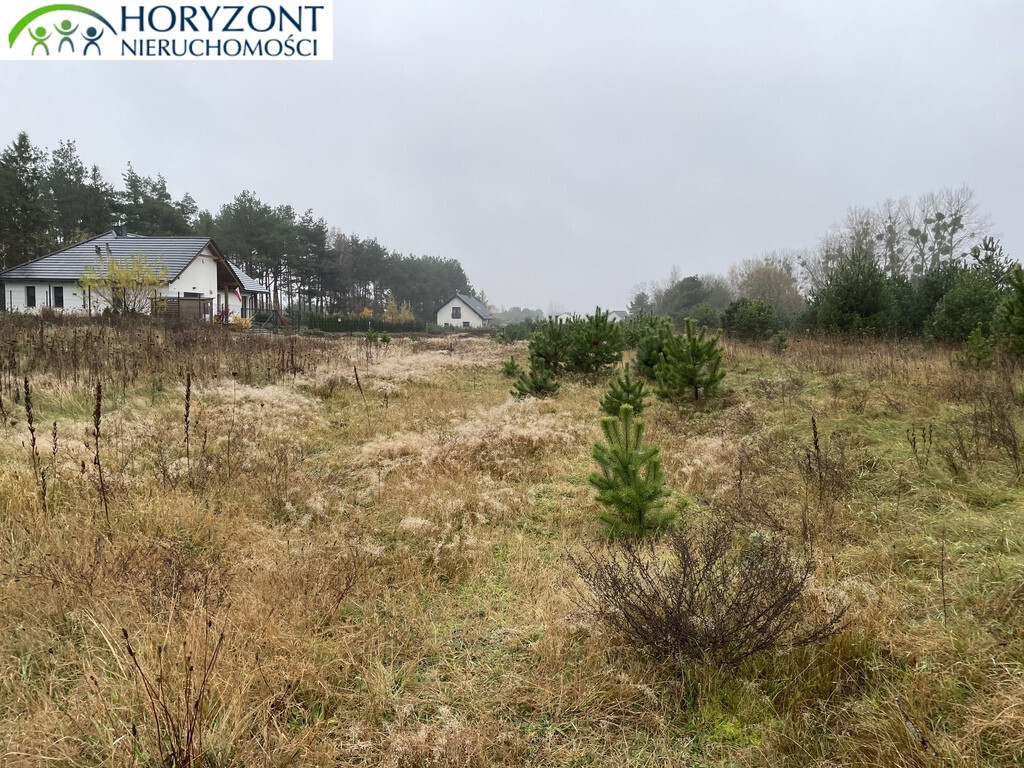 Działka budowlana 1290 m², Bojano - zdjęcie 4