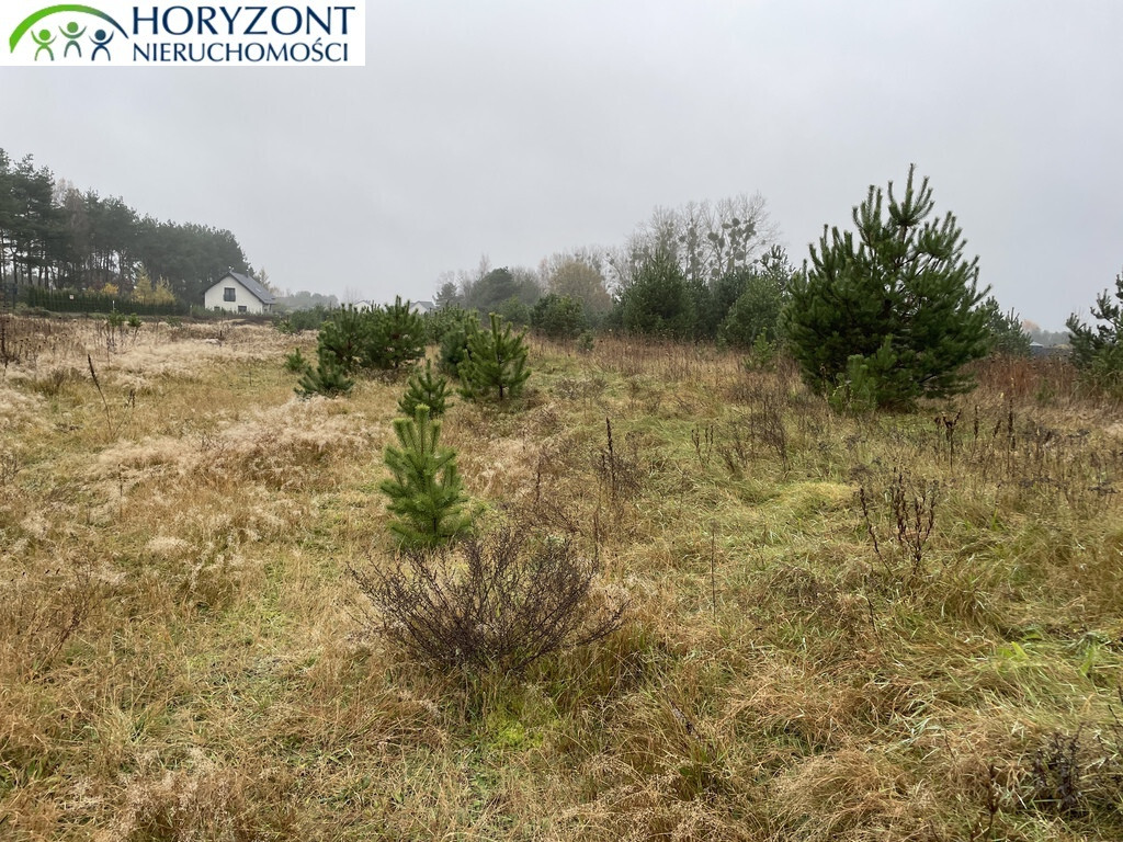 Działka budowlana 1290 m², Bojano - zdjęcie 2