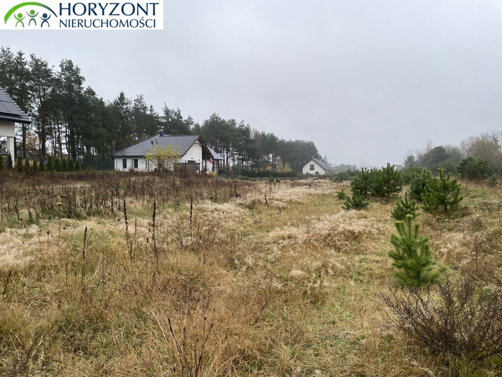 Działka budowlana 1290 m², Bojano - zdjęcie 5