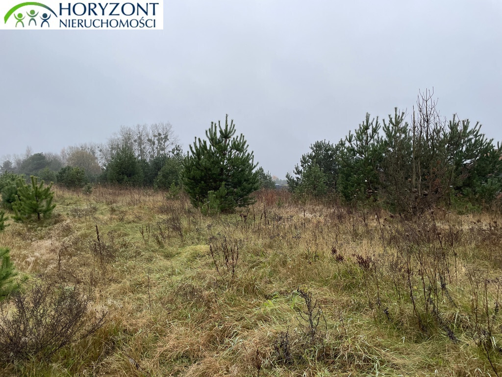 Działka budowlana 1290 m², Bojano - zdjęcie 3