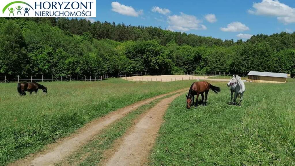 Działka budowlana 1201 m², Łebno - zdjęcie 6