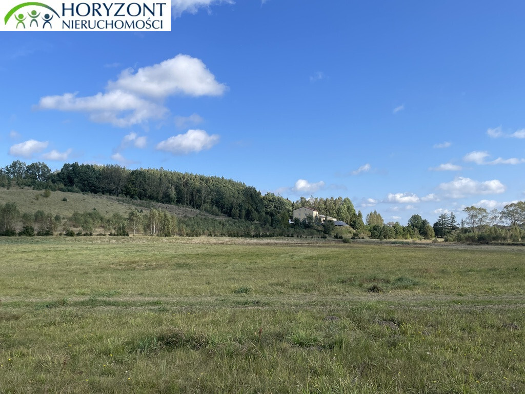 Działka budowlana 1101 m², Donimierz - zdjęcie 4