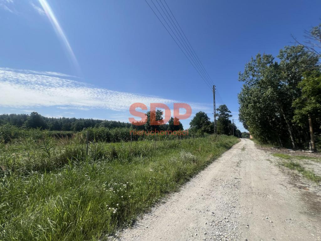 Działka budowlana 976&nbsp;m², Trzebnica, Sosnowa - zdjęcie 7
