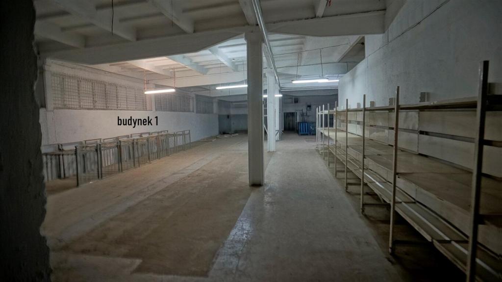 Magazyn do wynajęcia, 2999&nbsp;m², Ełk - zdjęcie 9