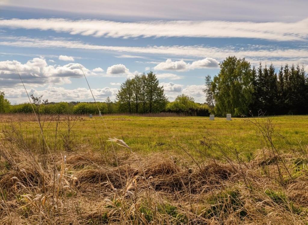 Działka budowlana 1,50 ha, Ełk - zdjęcie 8