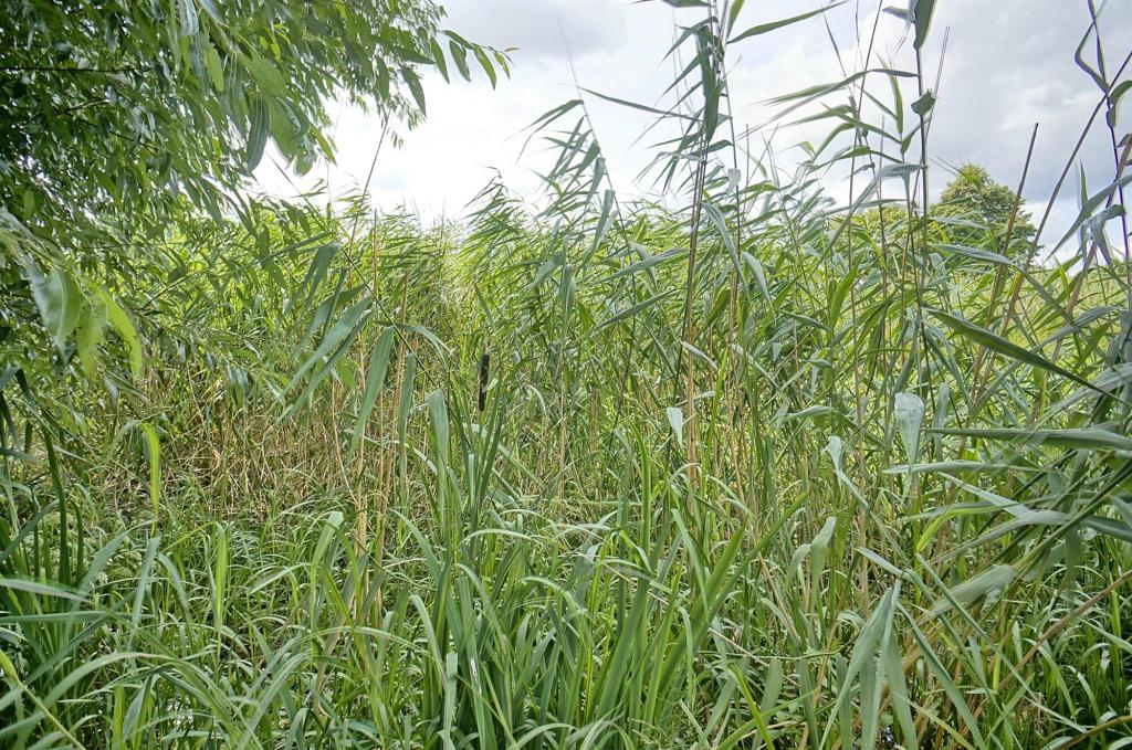 Działka budowlana 479 m², Ełk, Adama Mickiewicza - zdjęcie 6