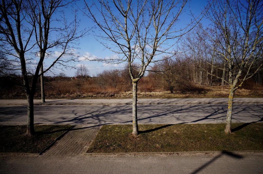 Działka budowlana 4200&nbsp;m², Węgorzewo, Jana Pawła II - zdjęcie 6
