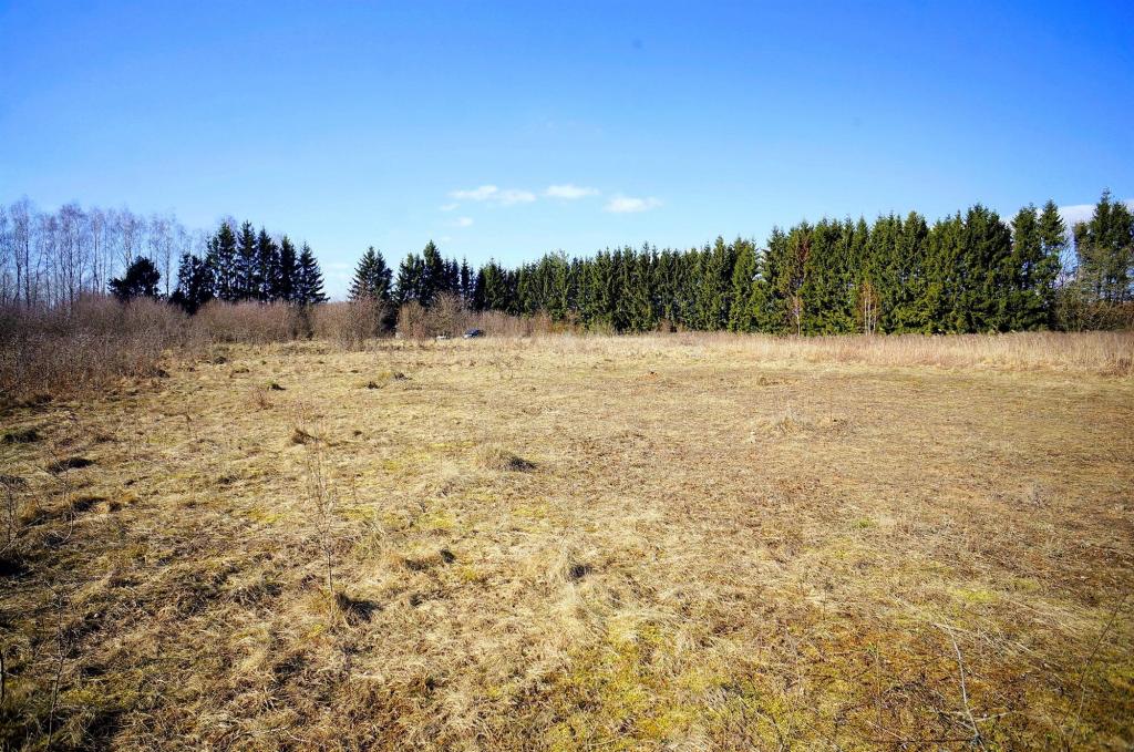 Działka budowlana 6384 m², Węgorzewo - zdjęcie 8