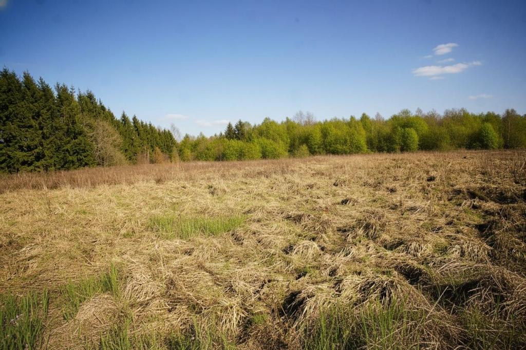 Działka budowlana 6384 m², Węgorzewo - zdjęcie 7