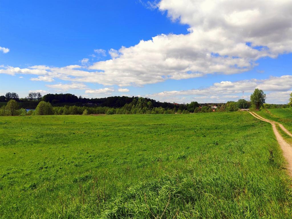 Działka budowlana 21,95&nbsp;ha, Gołdap - zdjęcie 4