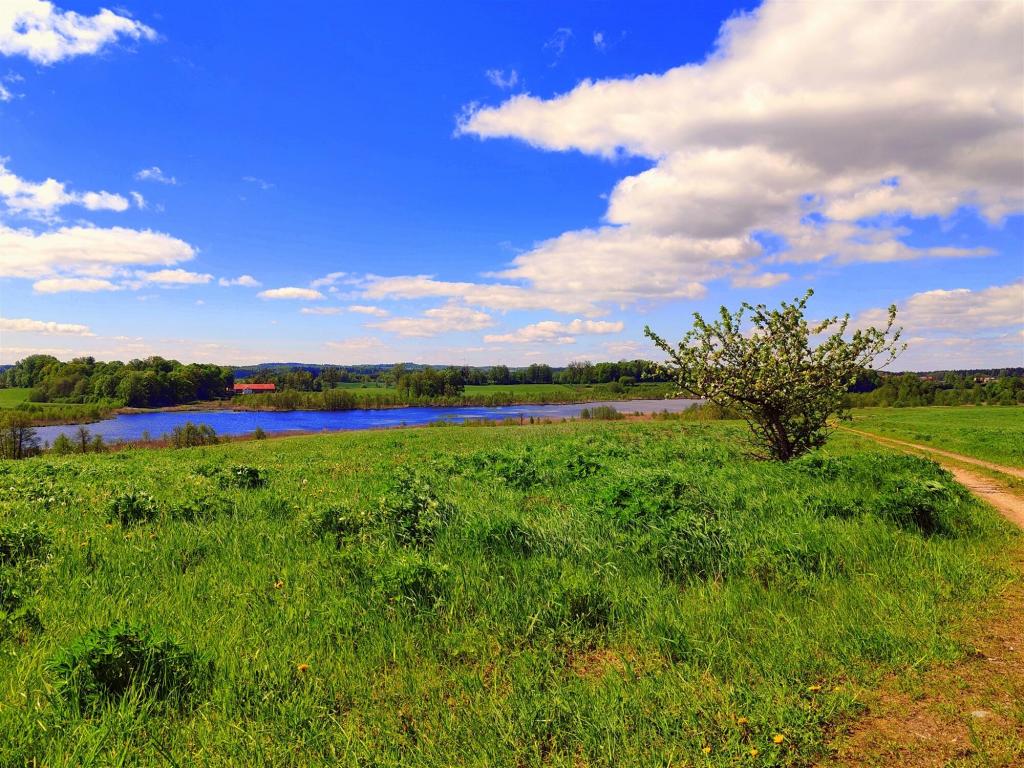Działka budowlana 21,95&nbsp;ha, Gołdap - zdjęcie 3