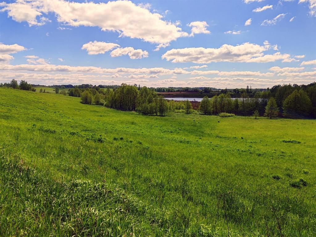 Działka budowlana 21,95&nbsp;ha, Gołdap - zdjęcie 5