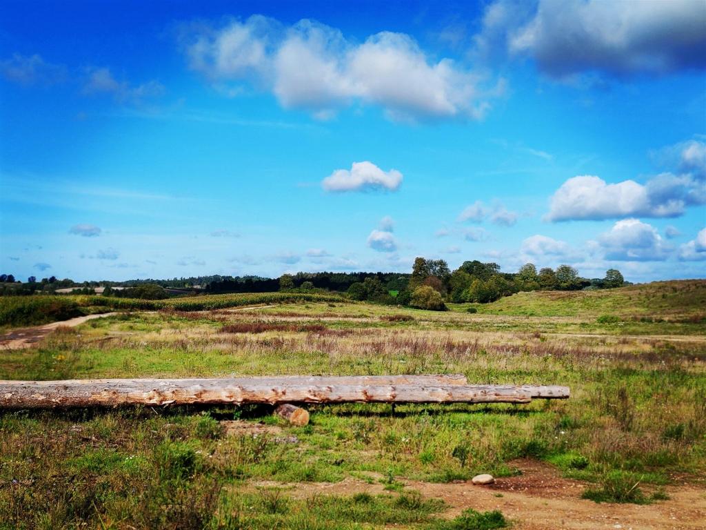 Działka budowlana 15,01 ha, Ełk - zdjęcie 5