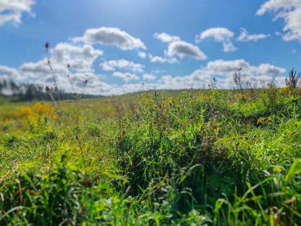 Działka budowlana 15,01 ha, Ełk - zdjęcie 7