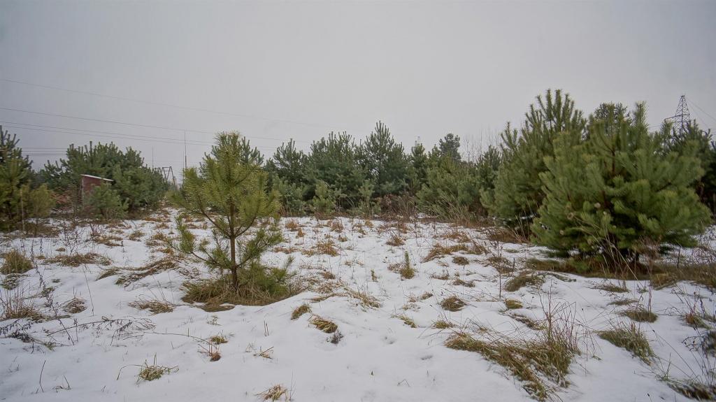 Działka budowlana 4343&nbsp;m², Ełk, Sportowa - zdjęcie 4