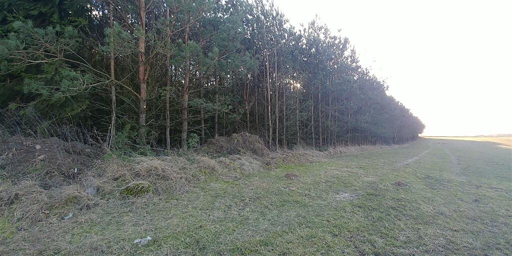 Działka budowlana 1,81 ha, Biała Piska - zdjęcie 5