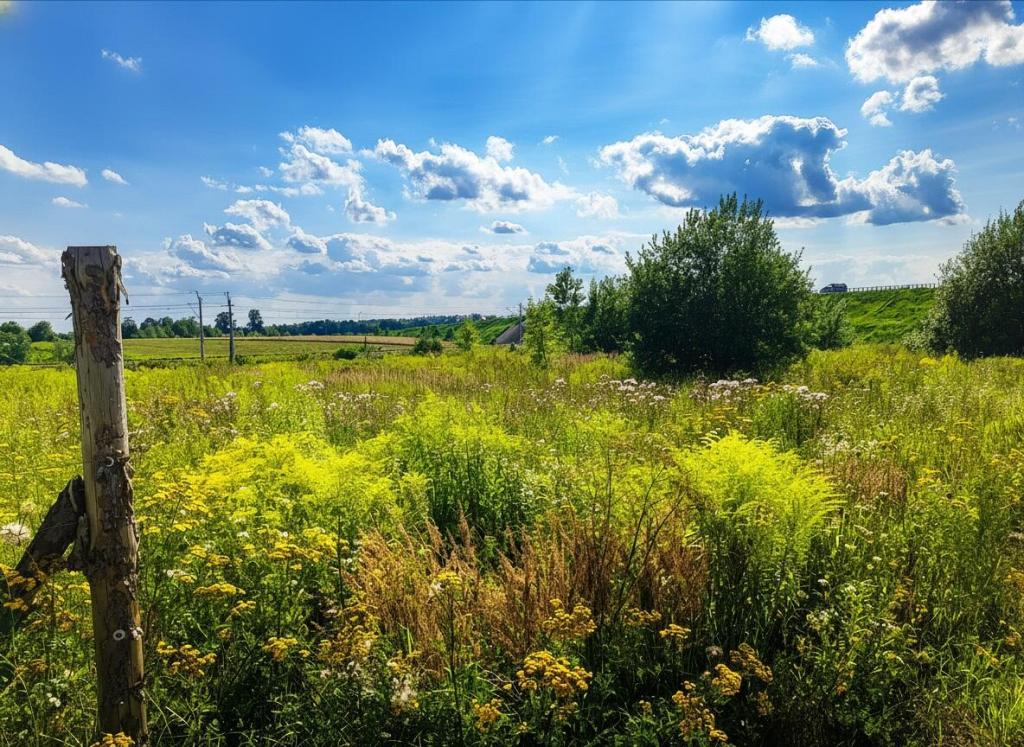 Działka budowlana 3000 m², Ełk - zdjęcie 4