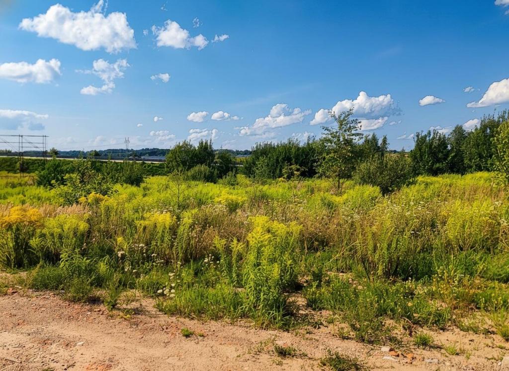 Działka budowlana 3000 m², Ełk - zdjęcie 6