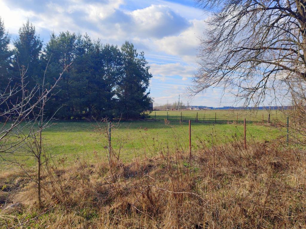 Działka budowlana 1486 m², Kalinowo - zdjęcie 4