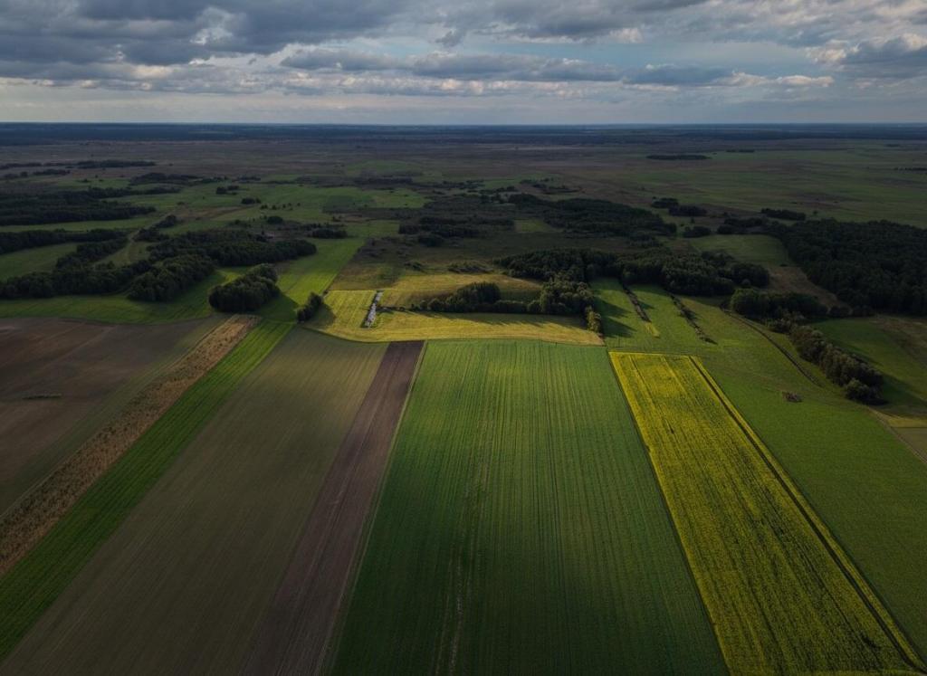 Działka budowlana 1,18 ha, Radziłów - zdjęcie 7