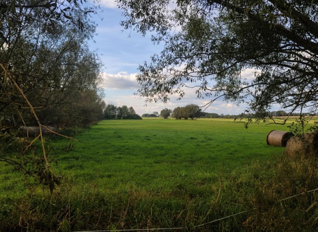 Działka budowlana 1,18 ha, Radziłów - zdjęcie 4
