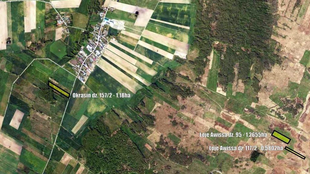 Działka budowlana 1,18 ha, Radziłów - zdjęcie 8