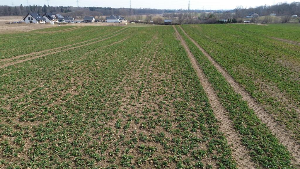Działka budowlana 7,28 ha, Ełk - zdjęcie 15