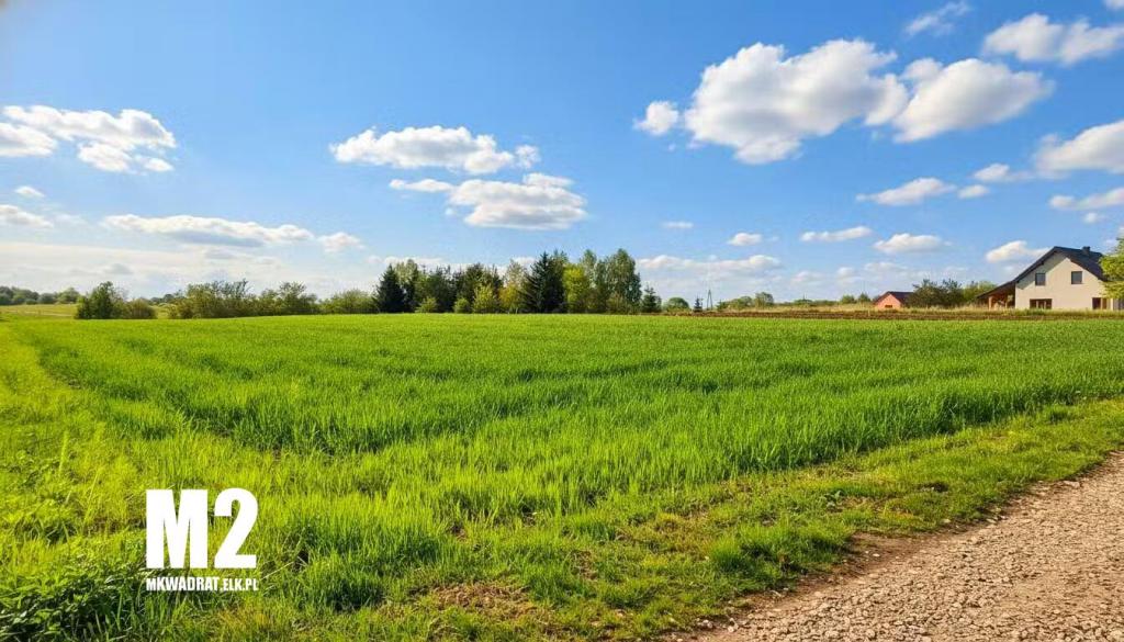 Działka budowlana 4477&nbsp;m², Ełk, Wrzosowa - zdjęcie 4