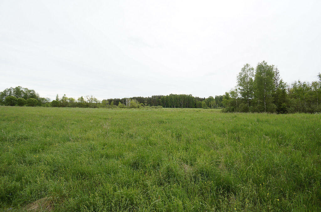 Działka budowlana 1,64 ha, Ełk - zdjęcie 1