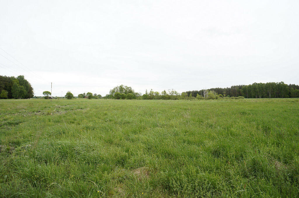 Działka budowlana 1,64 ha, Ełk - zdjęcie 3