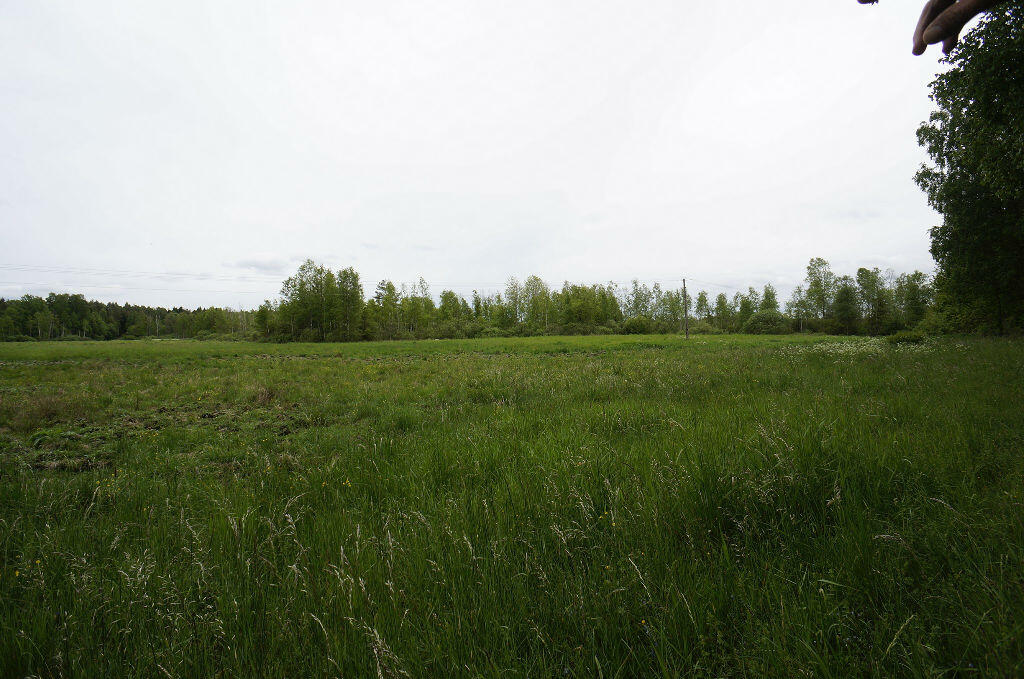 Działka budowlana 1,64 ha, Ełk - zdjęcie 4