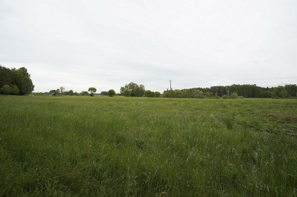 Działka budowlana 1,64 ha, Ełk - zdjęcie 5