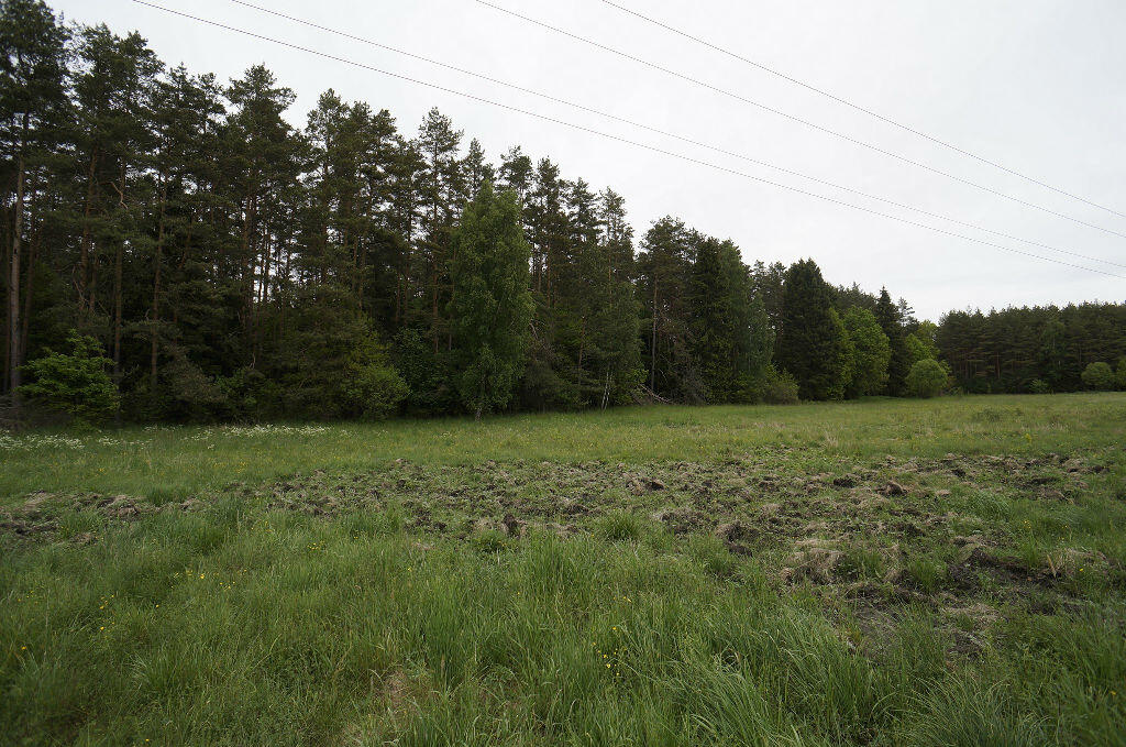 Działka budowlana 1,64 ha, Ełk - zdjęcie 2