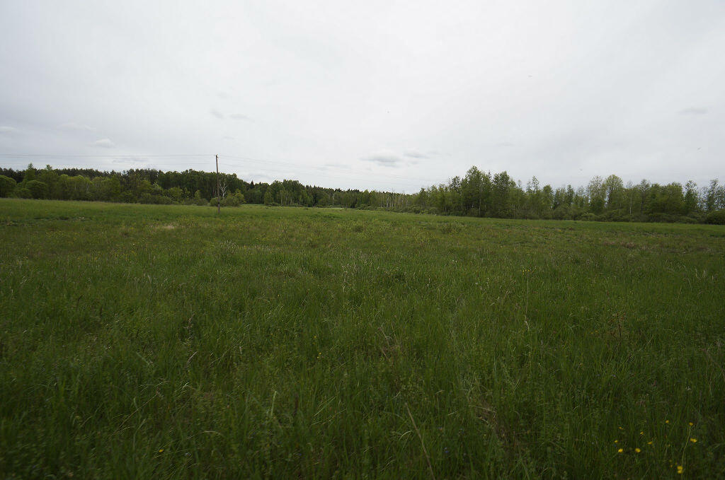 Działka budowlana 1,64 ha, Ełk - zdjęcie 6