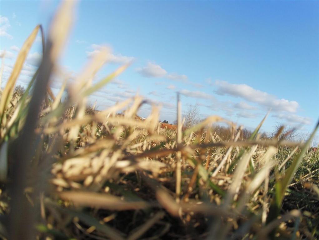 Działka budowlana 6700 m², Biała Piska - zdjęcie 1