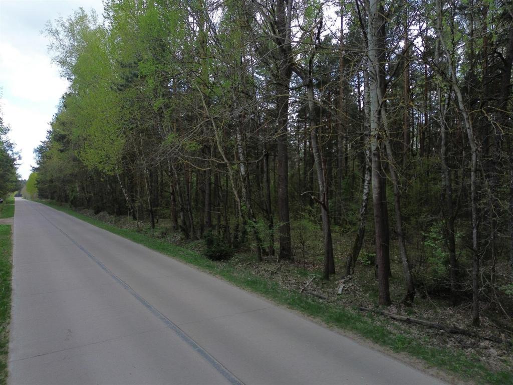 Działka budowlana 5896 m², Choroszcz, Laurowa - zdjęcie 3