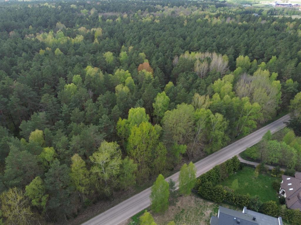 Działka budowlana 5896 m², Choroszcz, Laurowa - zdjęcie 7