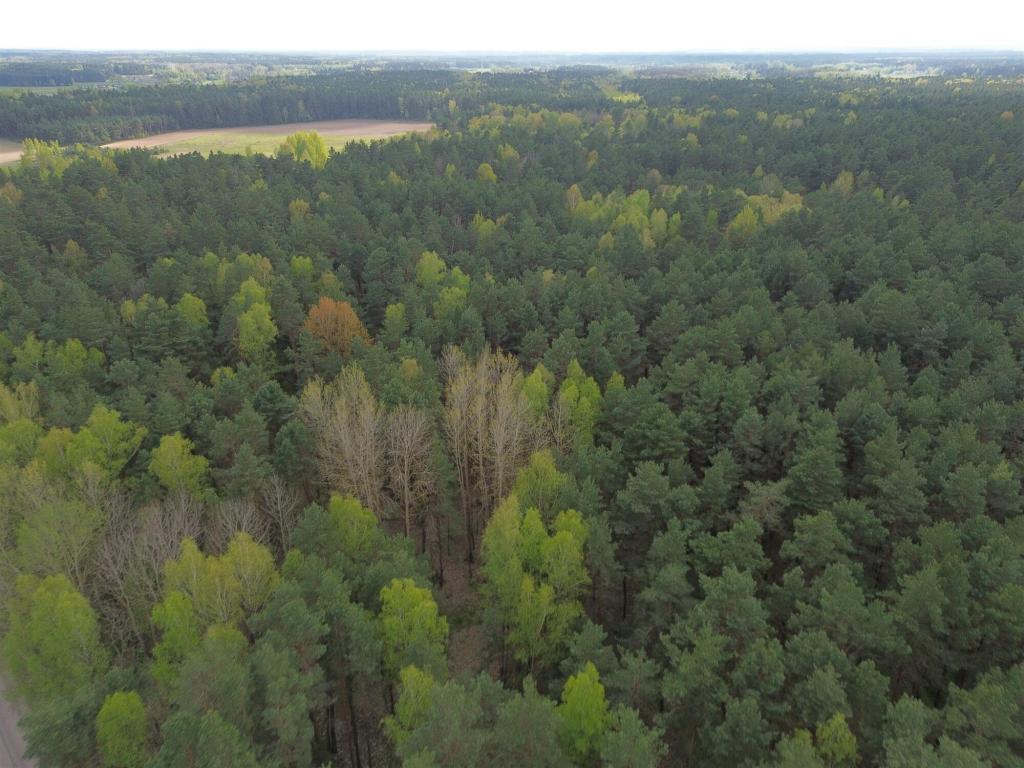 Działka budowlana 5896 m², Choroszcz, Laurowa - zdjęcie 9