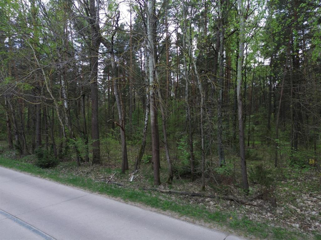 Działka budowlana 5896 m², Choroszcz, Laurowa - zdjęcie 4