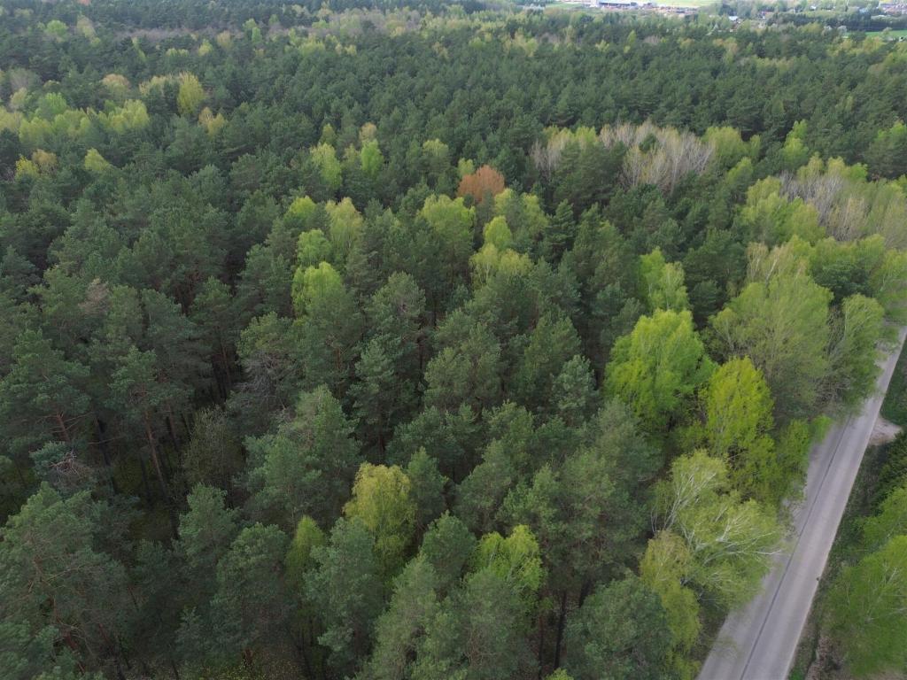 Działka budowlana 5896 m², Choroszcz, Laurowa - zdjęcie 6