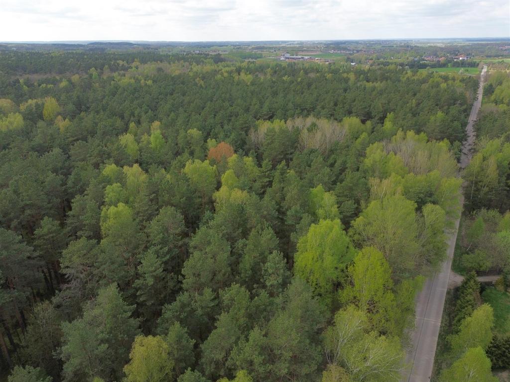 Działka budowlana 5896 m², Choroszcz, Laurowa - zdjęcie 1
