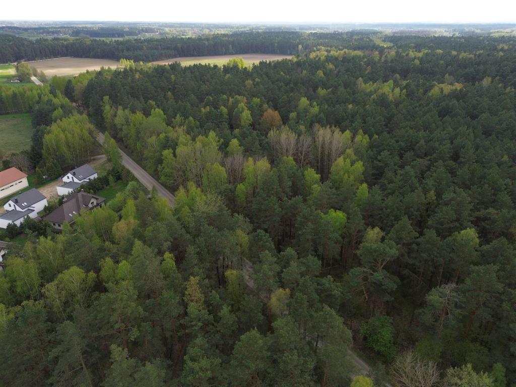 Działka budowlana 5896 m², Choroszcz, Laurowa - zdjęcie 8